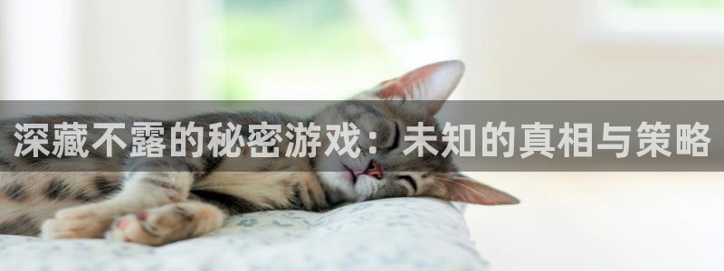多宝电竞下载app