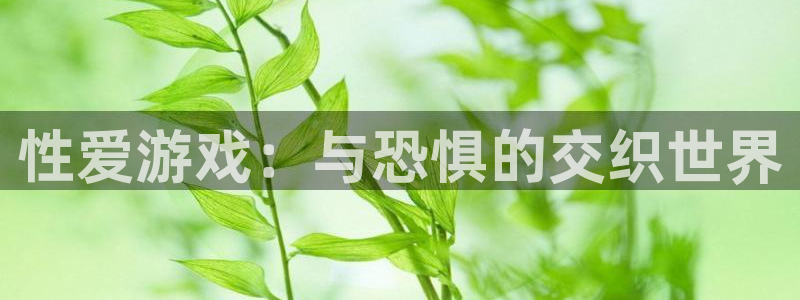 多宝电竞体育官网客服