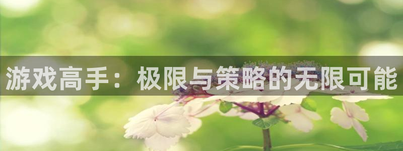 多宝电竞|体育官方网站