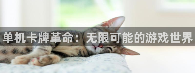 多宝电竞平台官方网站入口